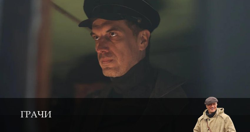 Превью Грачи